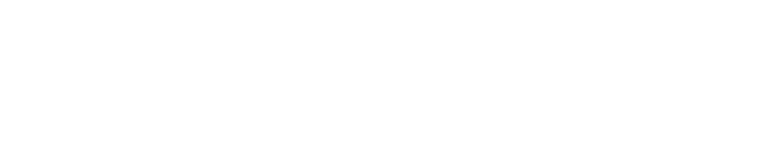 DSU Bursu